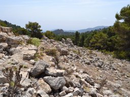 Valle de Leiva-Perdiz 2010